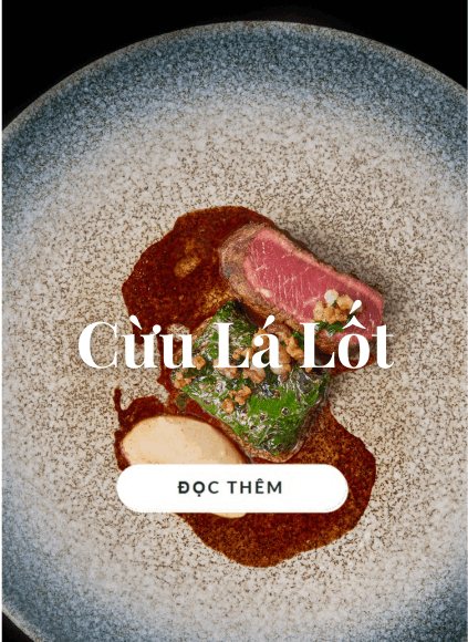 Lamb Lolot