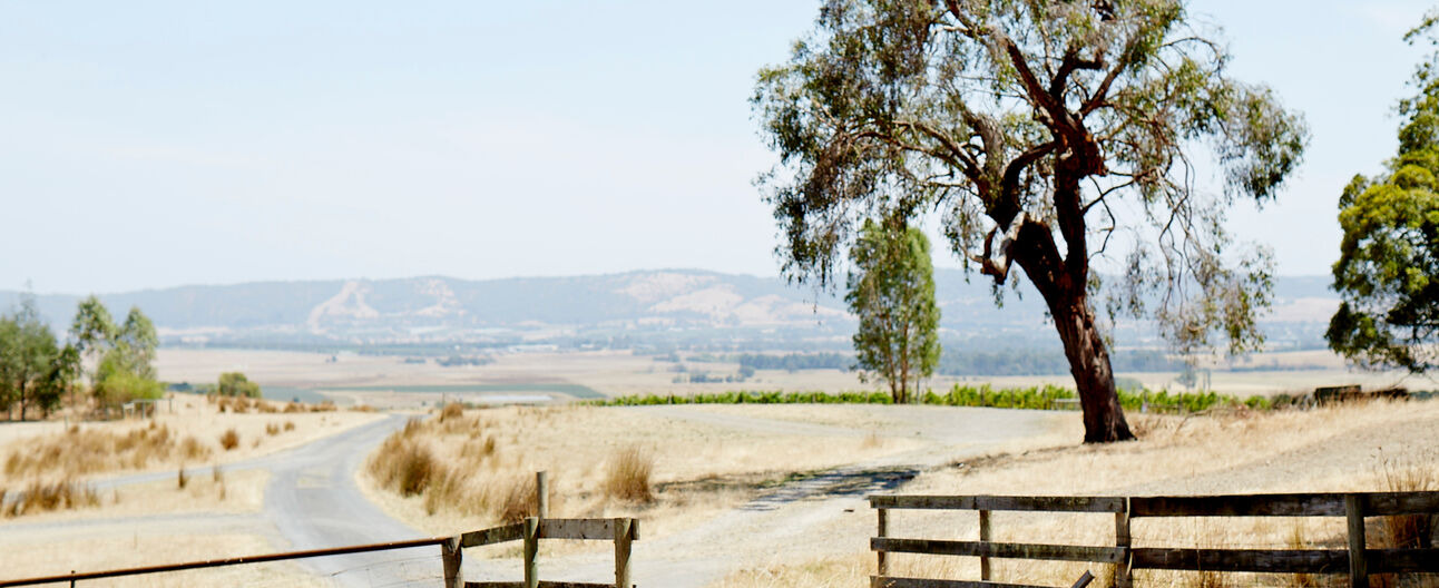 TÍNH BỀN VỮNG TRONG NGÀNH THỊT ĐỎ ÚC