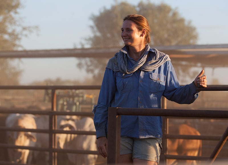 AUSTRALIAN FEEDLOTS