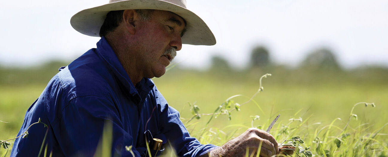 MEAT PREPARATION AND FOOD SAFETY